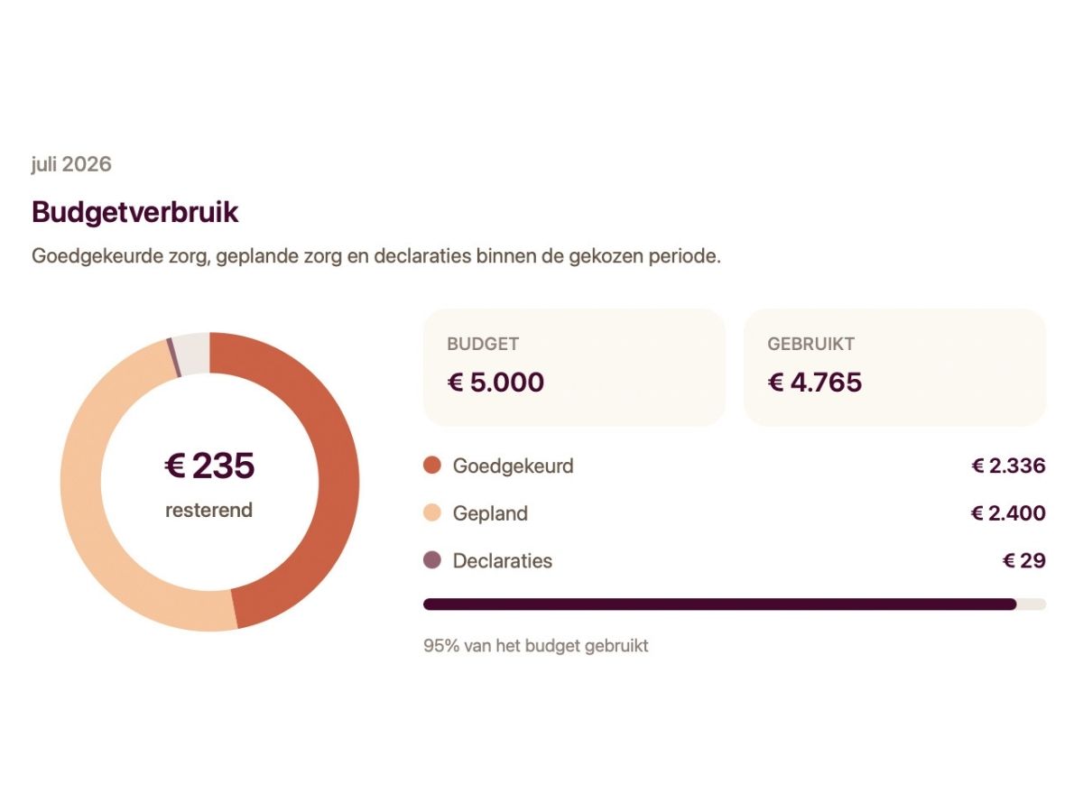 Budgetoverzicht met inzicht in beschikbare PGB-budgetten en kosten.